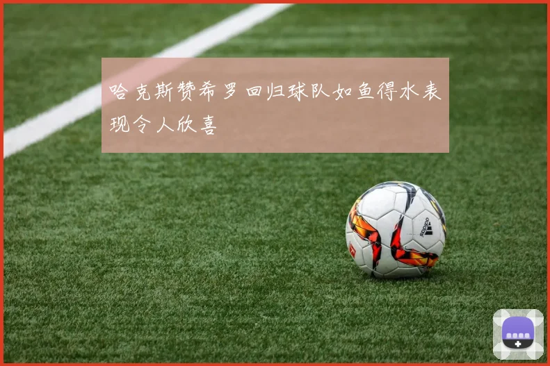 哈克斯赞希罗回归球队如鱼得水表现令人欣喜