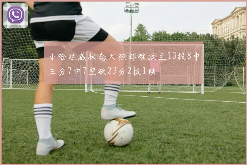 小哈达威状态火热却难救主13投8中三分7中7空砍23分2板1助