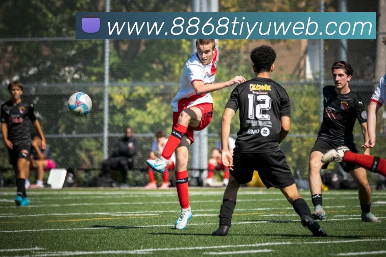 8868体育APP 封面图