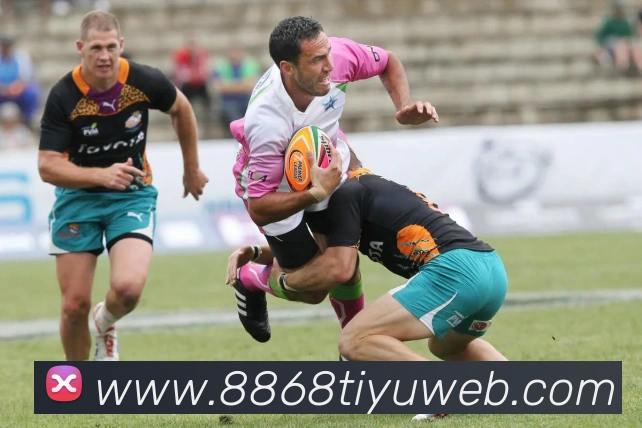 数据防护可视化